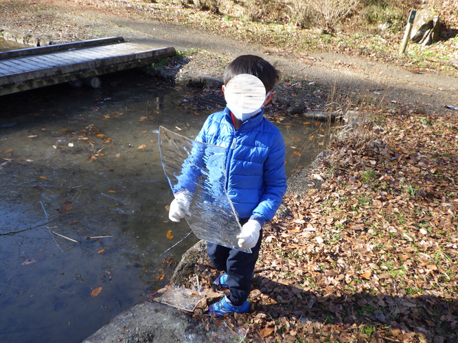 材料を探していたら氷を見つけたよ