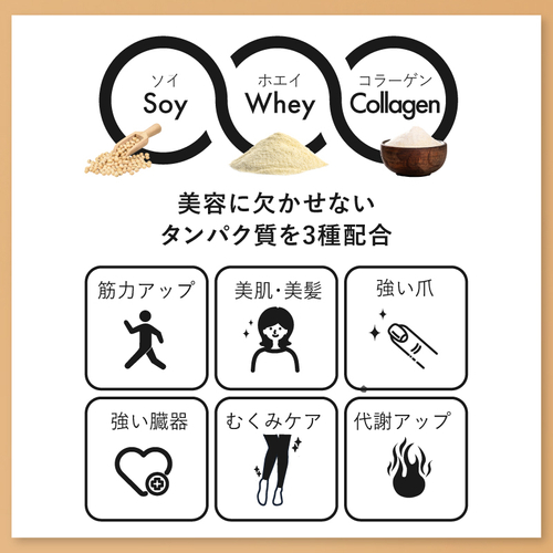 ネスタイル メイクビューティープロテイン_03