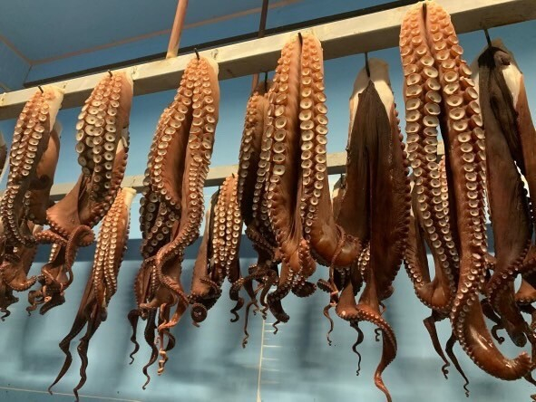 浜茹でされたたこ