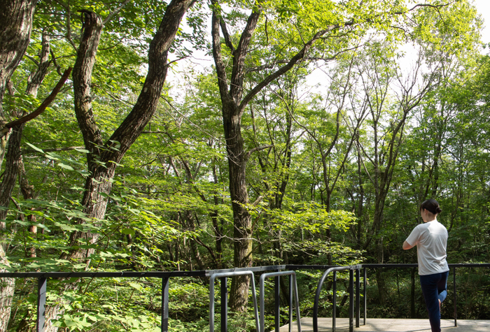 【森の朝ヨガ】慌ただしく過ごす現代人にはぴったりのリラックス法です