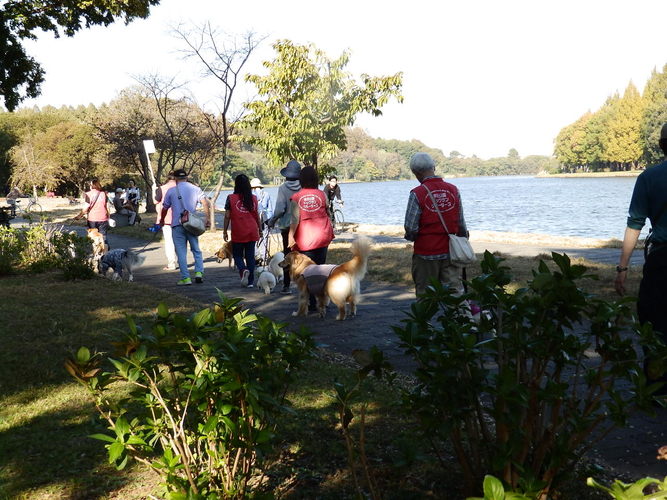 パックウォーク（昨年度の様子）