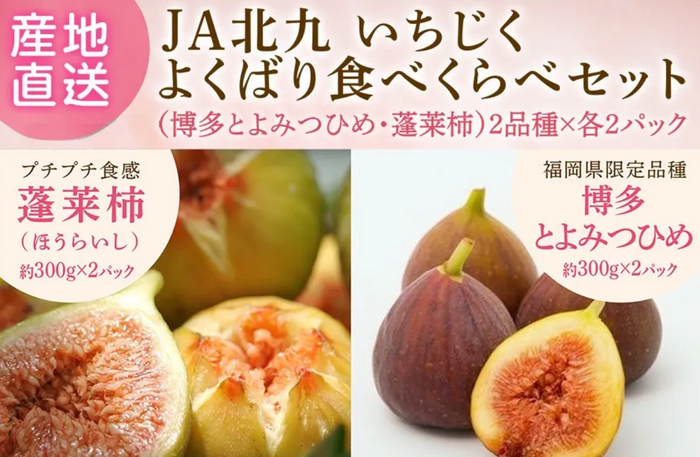 いちじくよくばり食べくらべセット（博多とよみつひめ・蓬莱柿）