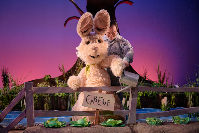 &copy;️DISNEY  　撮影／鈴木健太