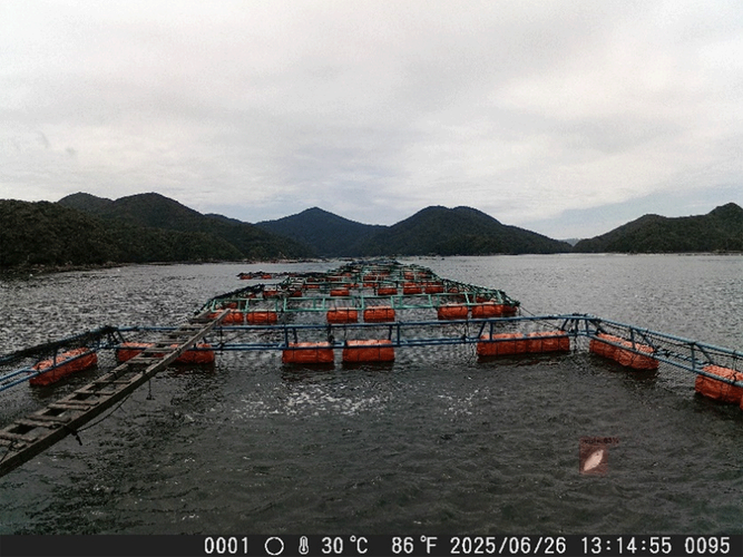 <「LA-Eye」で検知した魚のへい死>