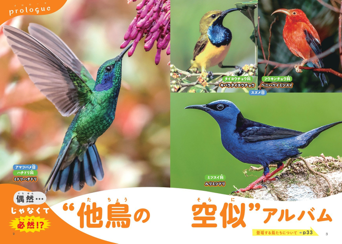 偶然&hellip;じゃなくて必然！？ &ldquo;他鳥の空似&rdquo;アルバム