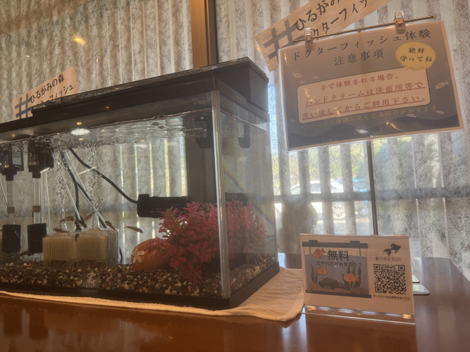 館内に設置しているドクターフィッシュ体験は無料。お心付けは魚のエサ代として利用させて頂いています。