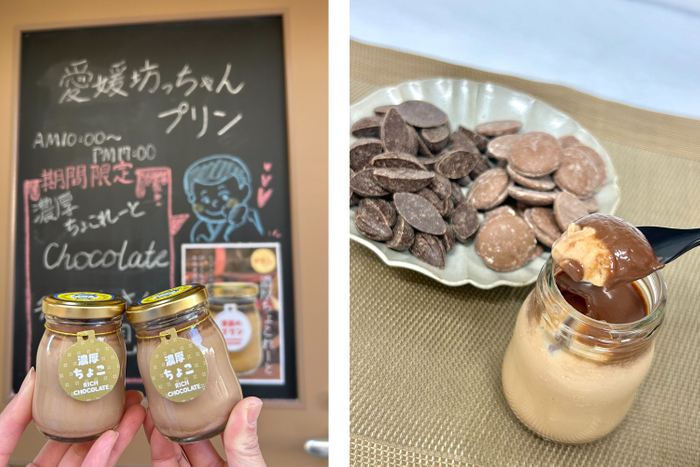 濃厚ちょこれーとプリン