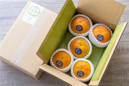 高糖度で上品な甘さが魅力！「太秋（たいしゅう）柿」の販売をＪＡタウンショップ「ＪＡ全農かながわ」で開始！