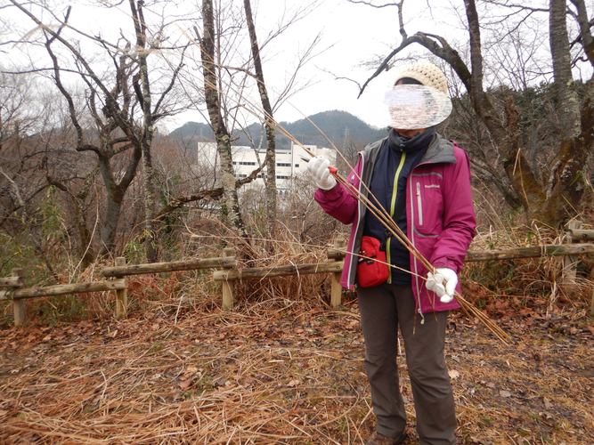 材料をじっくり選んでいきます