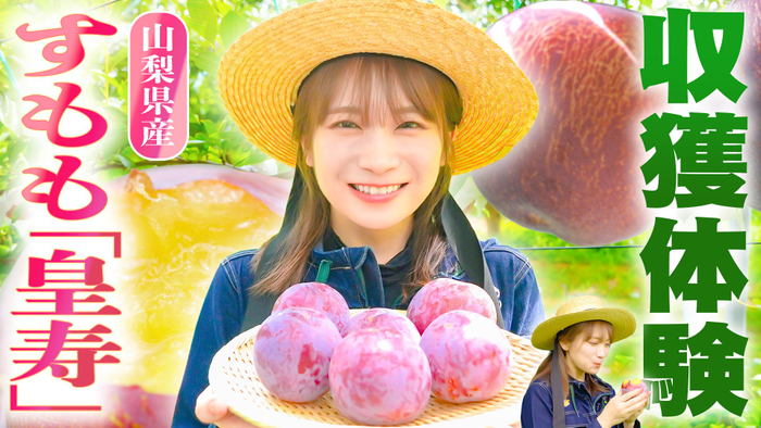 YouTube番組「ゆるふわたいむ」