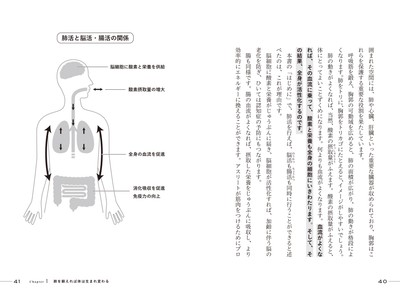 肺活と脳活・腸活の関係 
