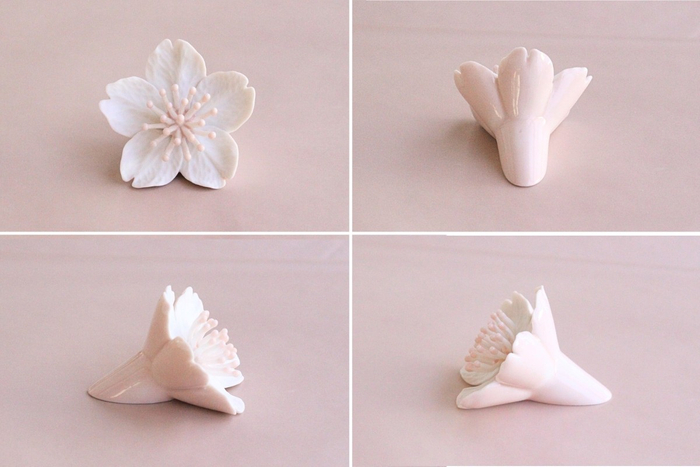 ピンク( 背面とめしべがピンク色)