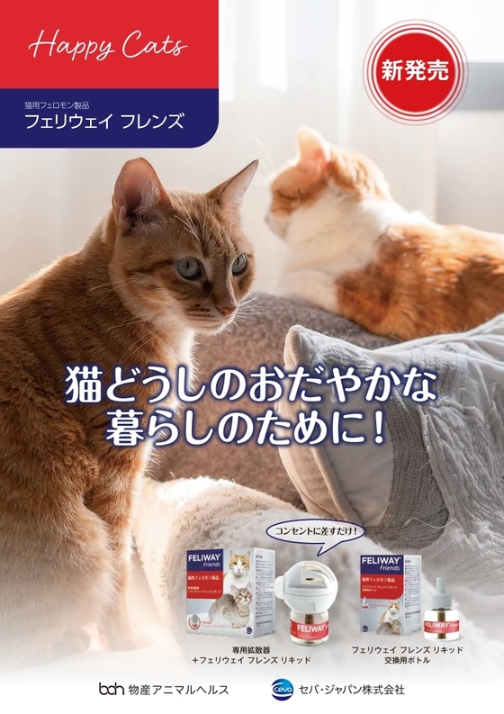 猫どうしのおだやかな暮らしのために!
