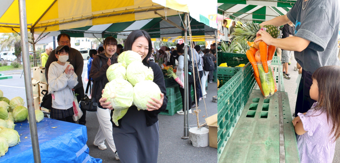 キャベツ抱え放題、野菜・果物詰め放題