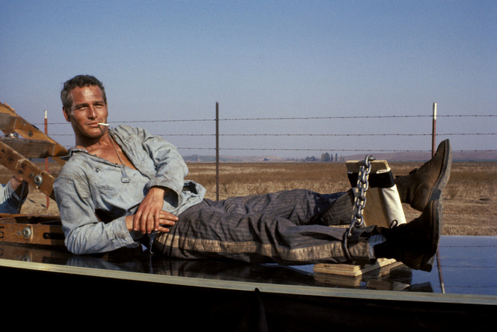 &copy; 2025 Warner Bros. Entertainment Inc. All rights reserved.