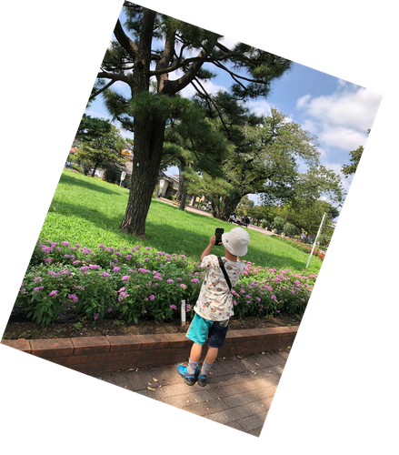 スマホのカメラ機能を 使って公園散歩！