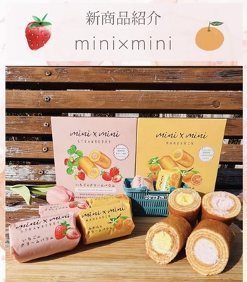 mini×mini