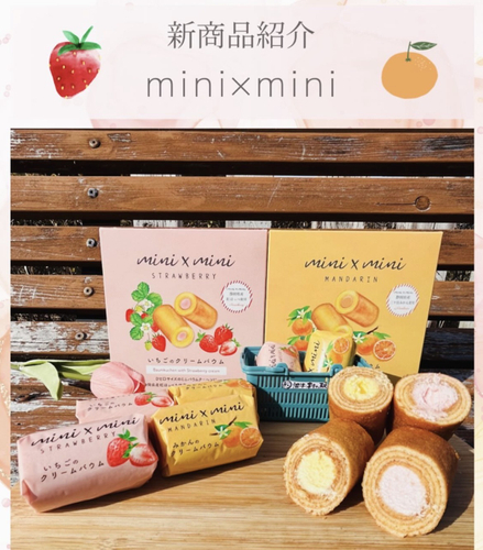 mini&times;mini