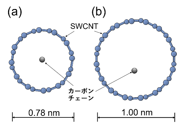 図2　直径の異なるSWCNTに内包されたカーボンチェーン（断面図）