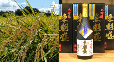 小泉酒造