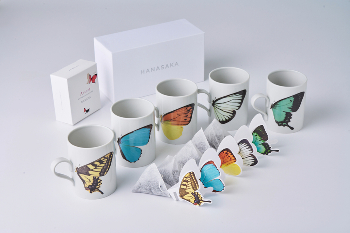 バタフライギフトセット　2