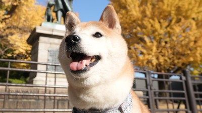 ©BS松竹東急