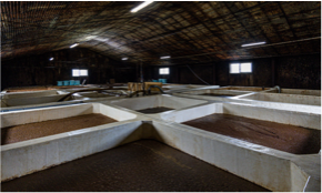 工場見学も大人気です！