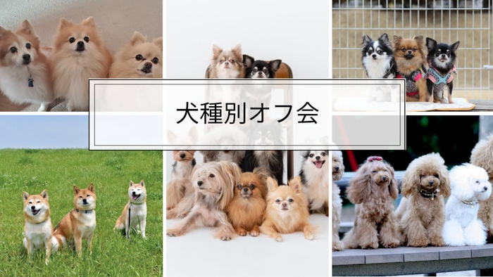 犬種別オフ会イメージ