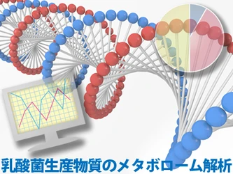 光英科学研究所が最新のメタボローム解析で 乳酸菌生産物質の1,186種類の成分を特定