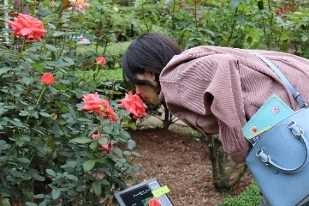 「庭さんぽ」過去開催の様子