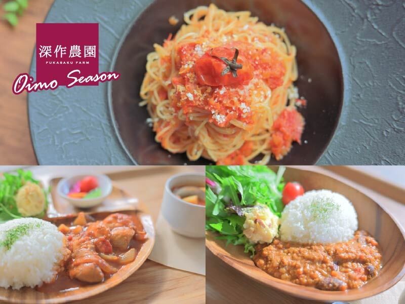 トマトパスタ・トマト煮・トマトのキーマカレーなど、ランチタイムを彩るメニュー