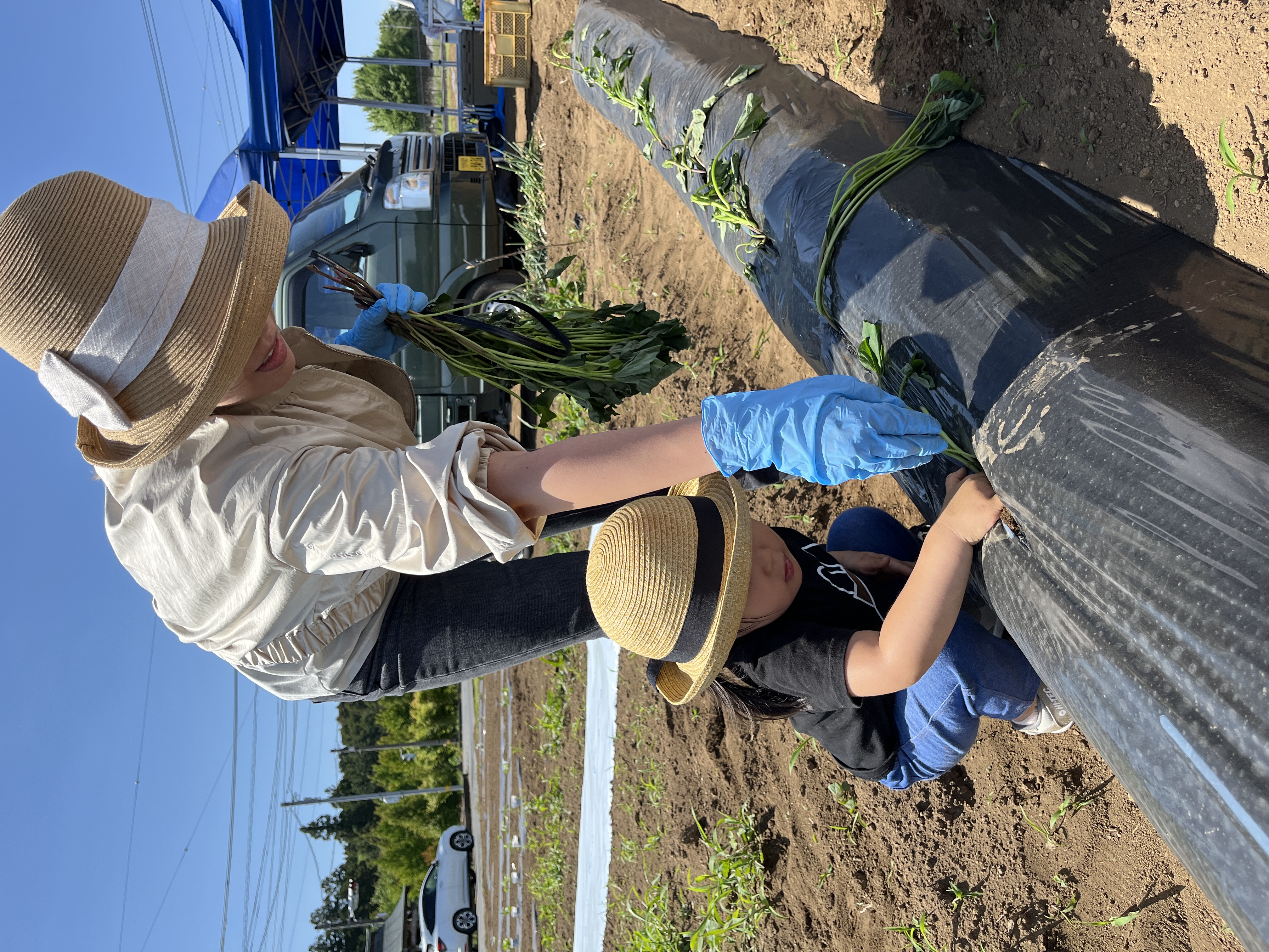 大人から小さなお子様までゆったり自然に触れ合う時間がすごせます