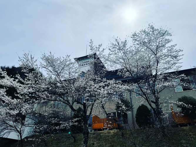 旅館の外観