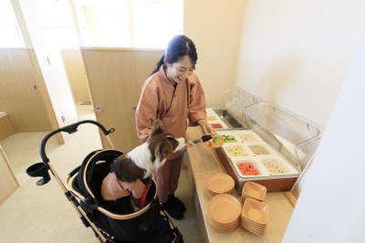 ワンちゃん専用ビュッフェもある<レストラン>