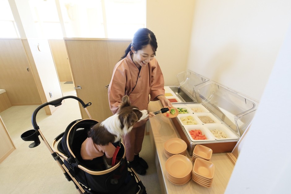 ワンちゃん専用ビュッフェもある<レストラン>