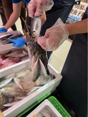 鮮魚の詰め放題