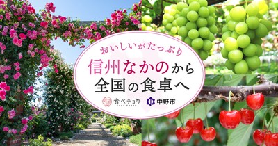 おいしいがたっぷり!信州なかのから全国の食卓へ
