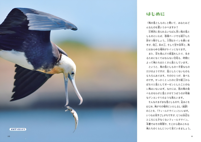 はじめに