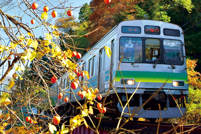 7500系車両 イメージ
