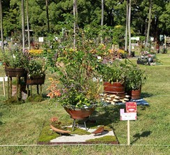 「爽籟 ～Sorai～」 山口 玲奈（千葉県）