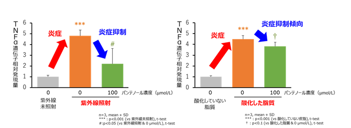 図3 表皮細胞における紫外線及び酸化した脂質による炎症に対するパンテノールの抑制作用