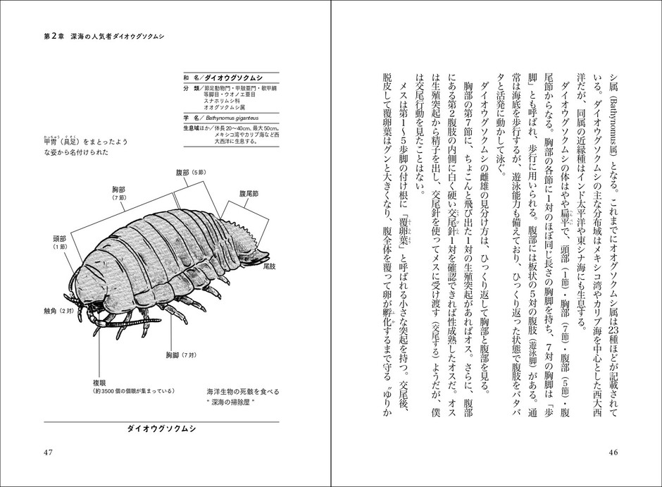 ダイオウグソクムシ