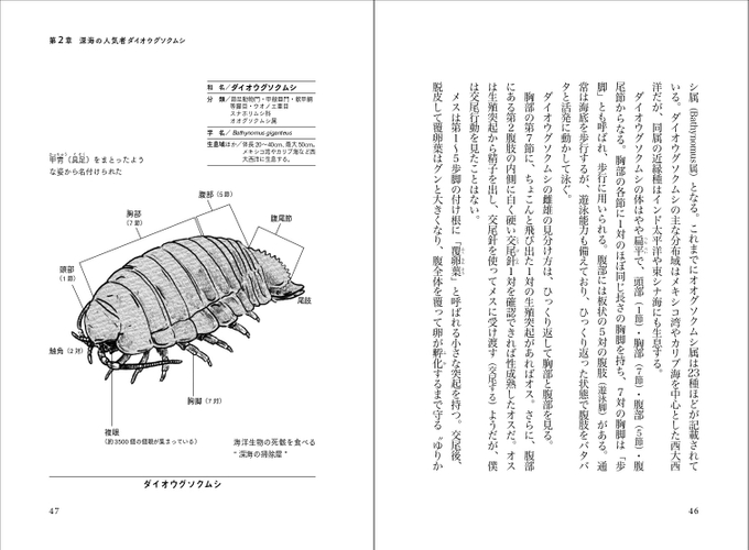 ダイオウグソクムシ