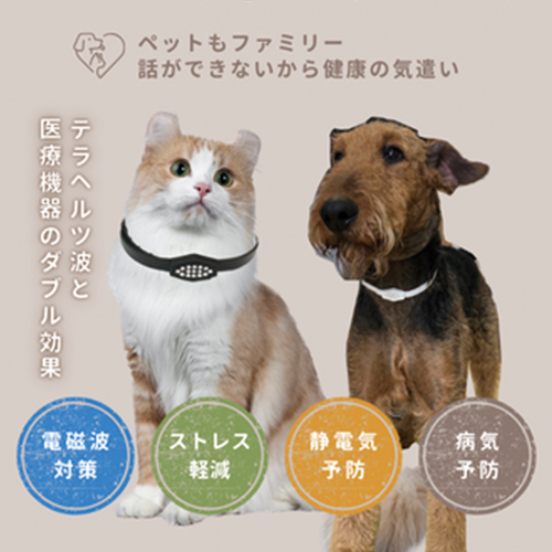Pemilyネックレスとは？