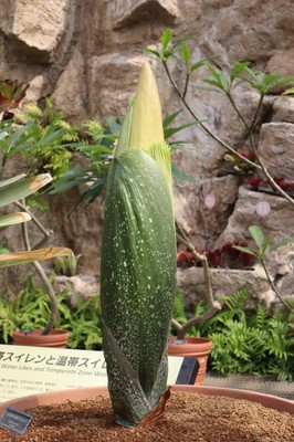 2025年5月21日撮影