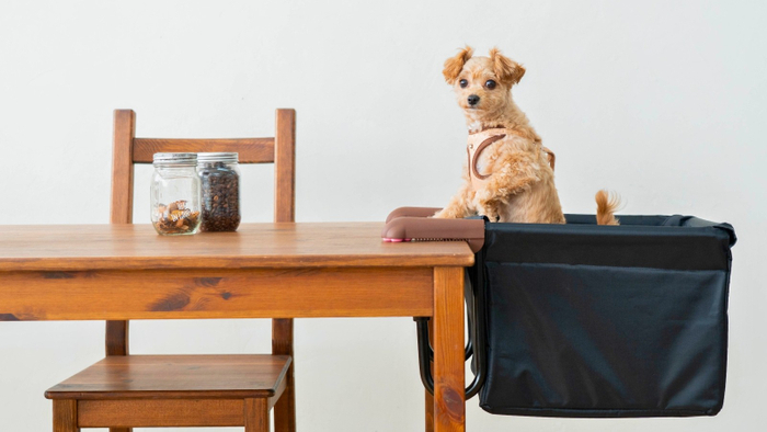 ピーナッツ・ペット　「肉球アームのペットチェア Chocorin」（ブラック）