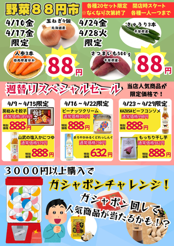 房総・村の駅 八周年祭(2)
