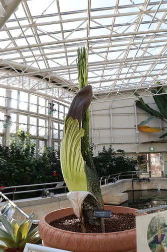 2022年12月8日撮影