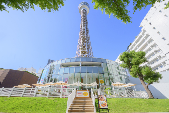 【横浜マリンタワー】
