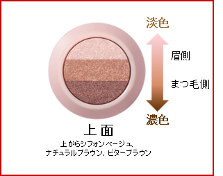 『グラデシャドウスティック(ブロッサムブラウン)』断面図